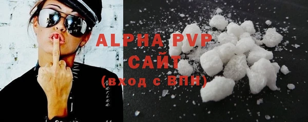 хмурый Аркадак
