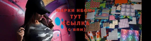 хмурый Аркадак
