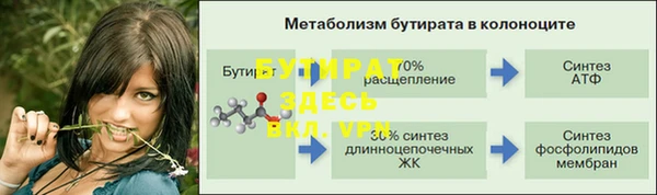 хмурый Аркадак