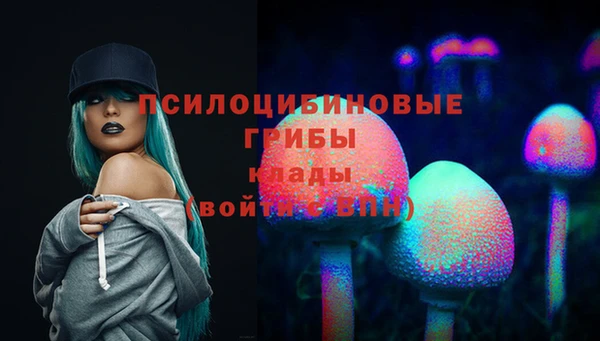 хмурый Аркадак