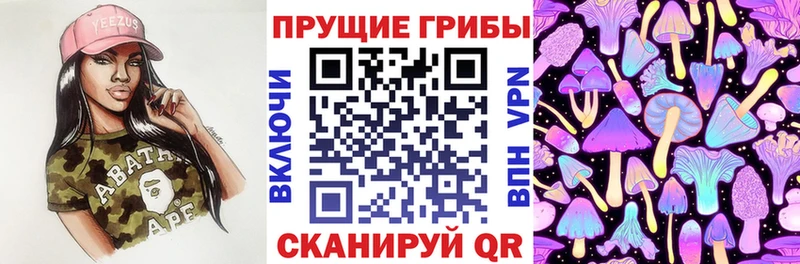 Галлюциногенные грибы Psilocybine cubensis Малая Вишера